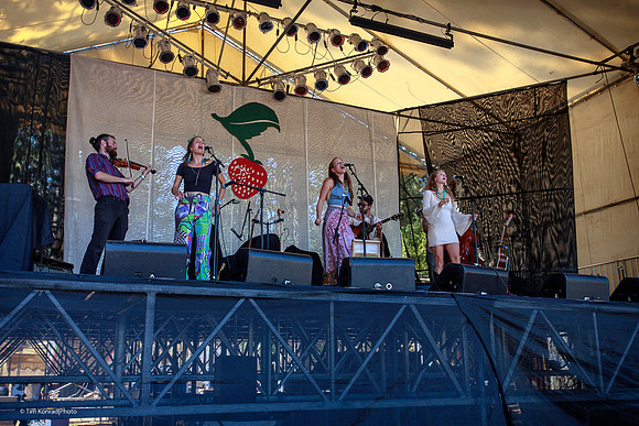 Strawberry Music Festival, Fall, 2014