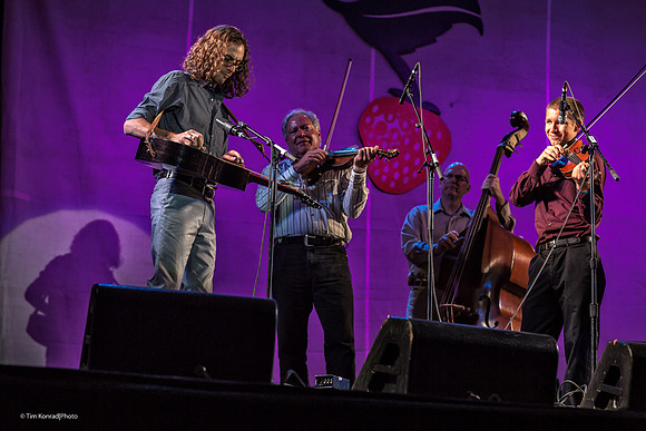 Strawberry Music Festival, Fall, 2014