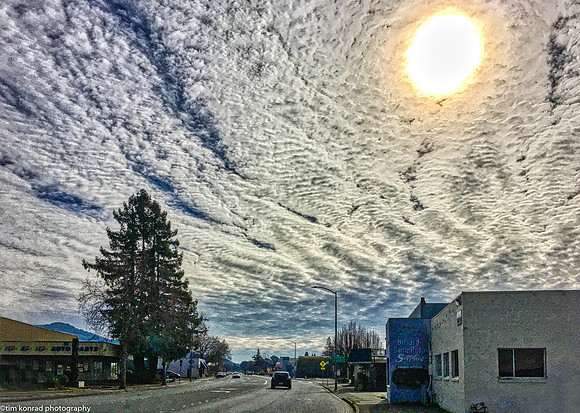 Van Gogh Afternoon, Santa Rosa, CA
