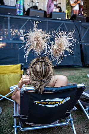 Strawberry Music Festival, Fall, 2014