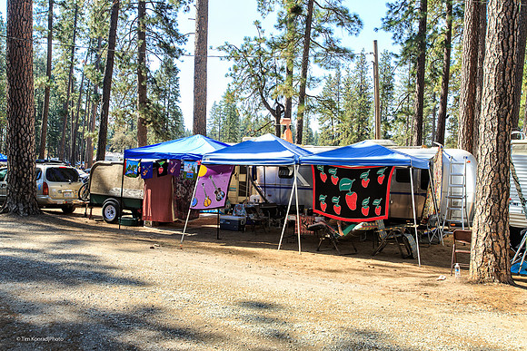 Strawberry Music Festival, Fall, 2014