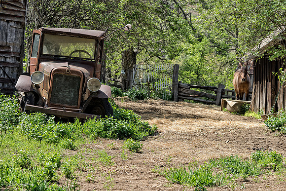 Old Ranch, Wards Ferry Road, Tuolumne County, CA, April 20, 2016