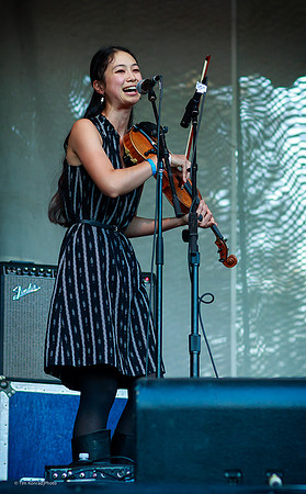 Strawberry Music Festival, Fall, 2014