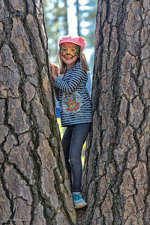 tree lurker