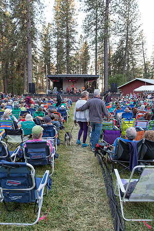 seat-seeking on the music meadow