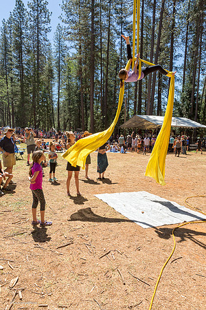 aerial acrobatics at the Revival