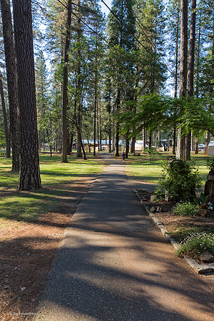 Nevada County Fairgrounds