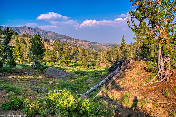 East Slope of Sonora Pass, Mono County, CA