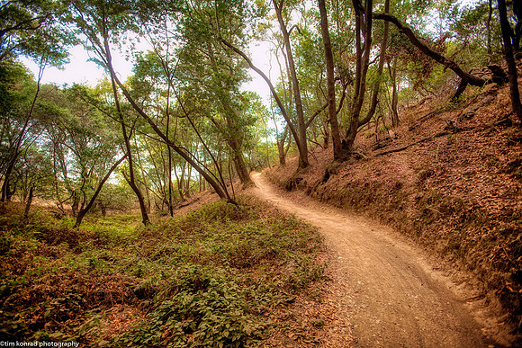 Hiking Trail near China Camp, Marin County, CA