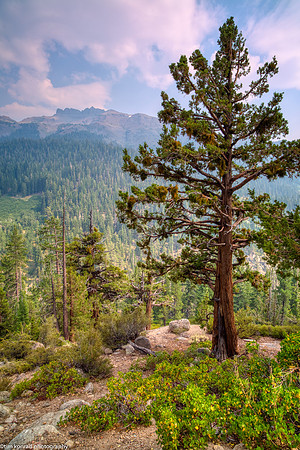 Tuolumne County High Country