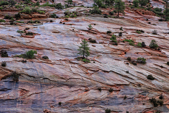 Zion National Park