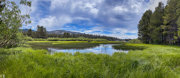 Herring Creek Reservoir, Tuolumne County, CA July 2021