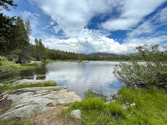 Herring Creek Reservoir, Tuolumne County, CA July 2021