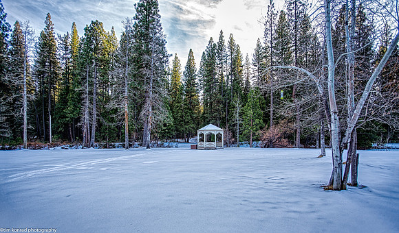Birch Lake in Snow, Camp Mather, CA