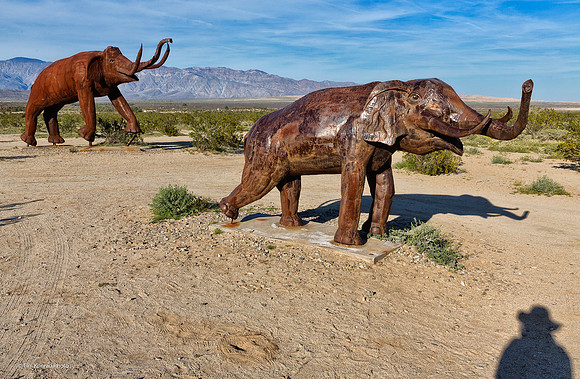 Unexpected Wildlife Sighting