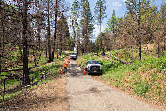 Tree removal, Butte fire aftermath, Whiskey Slide Road, Calaveras County, CA, April 22, 2016