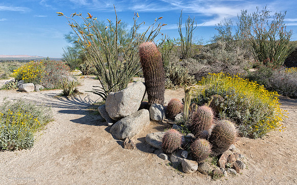 Anza Borrego NP