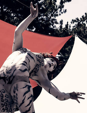 Contortionist, Lagunitas Beer Circus, 2013, Petaluma, CA