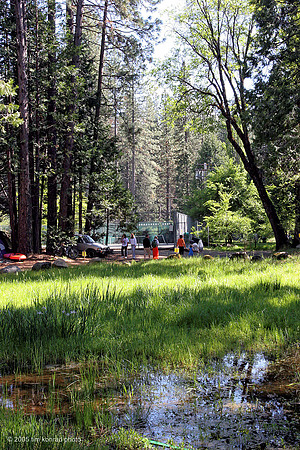 Camp Mather, Strawberry Music Festival, Spring, 2005