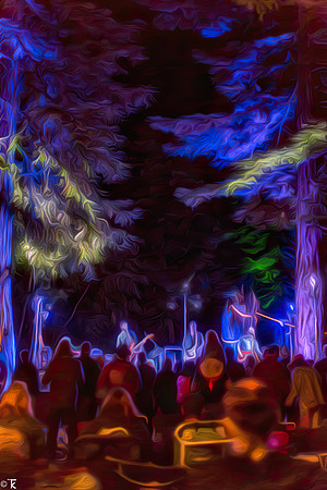 Redwood Ramble Saturday Night, Navarro, CA July 2015