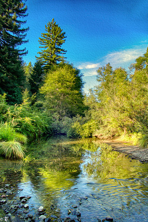 Navarro Creek, Navarro, CA July 2015