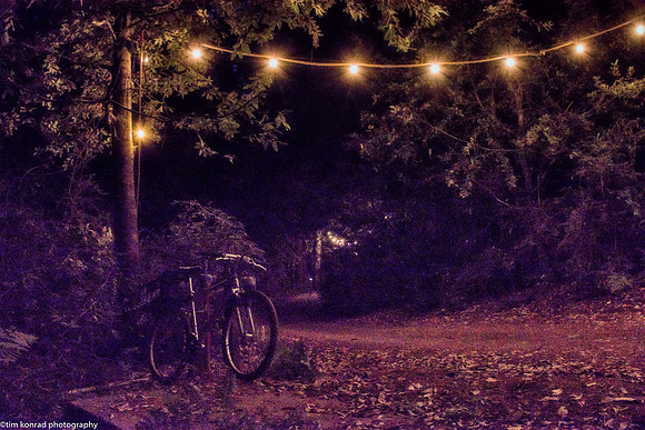 Bicycle, Redwood Ramble, Camp Navarro, July 2015