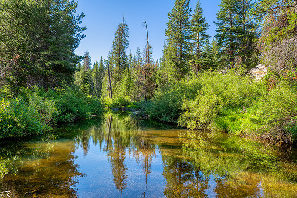 Herring Creek, Tuolumne County, CA July 2020