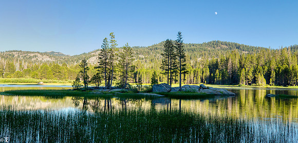 Herring Creek Reservoir, Tuolumne County, CA July 2020