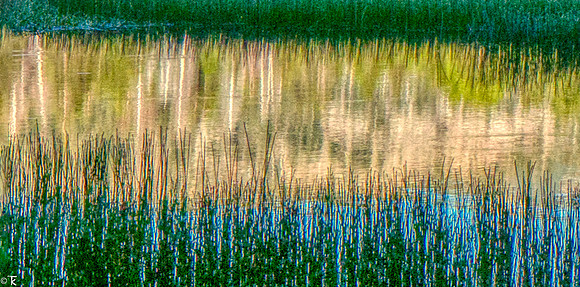 Theme & Variation, Herring Creek V03 July 2020