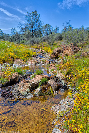 Springtime in the Red Hills, Tuolumne County, CA