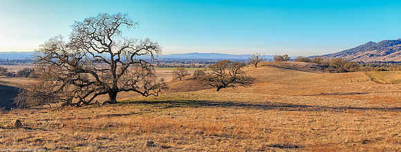 Looking toward Santa Rosa, CA