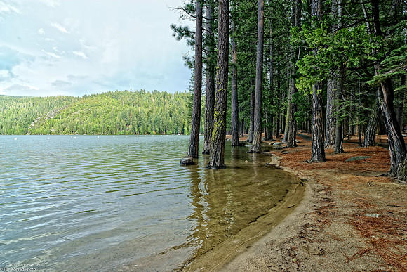 Pinecrest Lake, Tuolumne County, CA, June, 2016