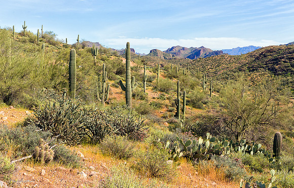 Usery Mountains