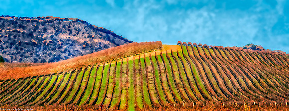 Death & Rebirth, Sonoma Valley, CA