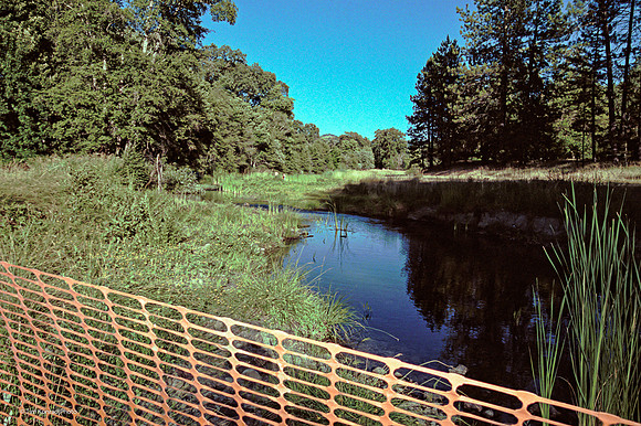 Bear Creek, The view upstream, Kate Wolf Music Festival, 2002