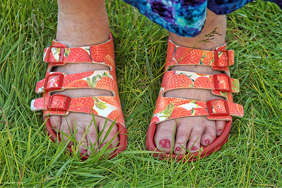Heidi's Strawberry Sandals, Strawberry Music Festival, Spring, 2007