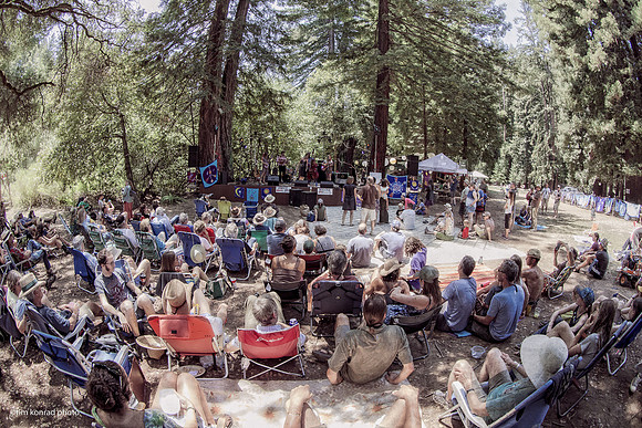 Redwood Ramble, 2015