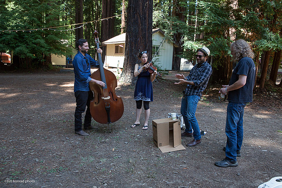 Redwood Ramble, 2015