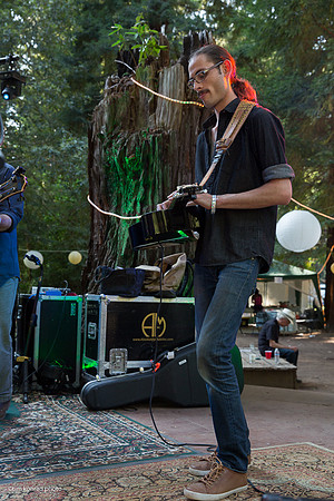 Redwood Ramble, 2015