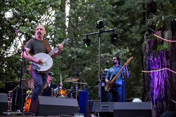 Redwood Ramble, 2015