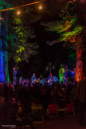 Redwood Ramble, 2015