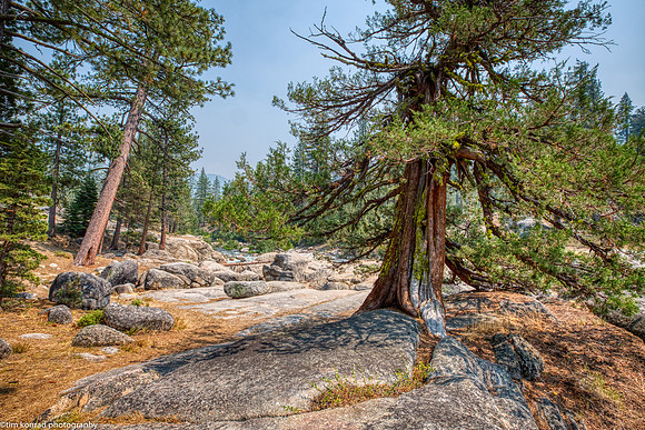Tuolumne County High Country