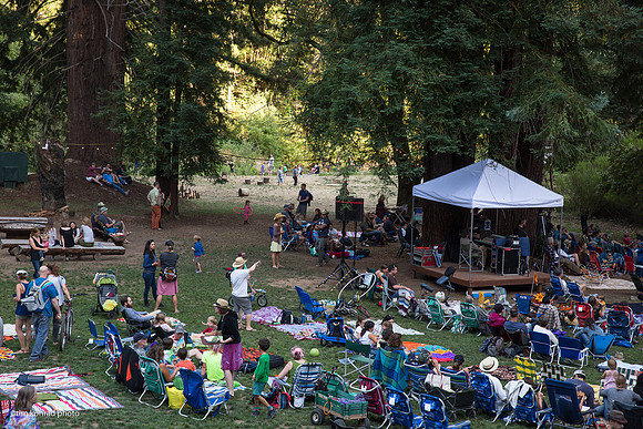 Redwood Ramble, 2015