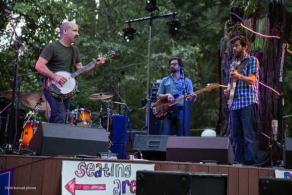 Redwood Ramble, 2015