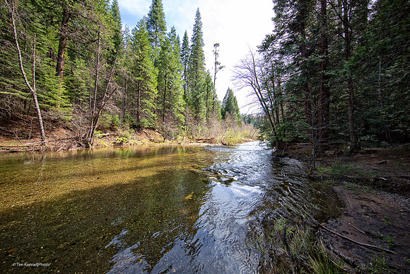 Beaver Creek, Calaveras County, CA, April 19, 2016