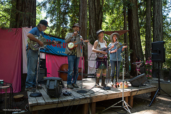 Redwood Ramble, 2015