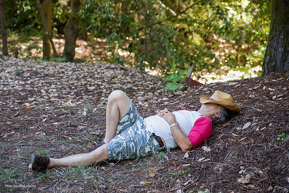 Redwood Ramble, 2015