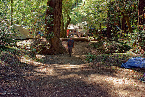 Redwood Ramble, 2015