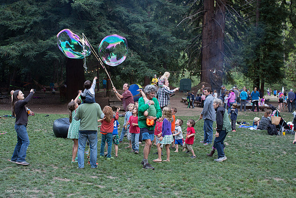Redwood Ramble, 2015