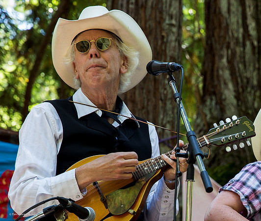 Redwood Ramble, Camp Navarro, 2015
